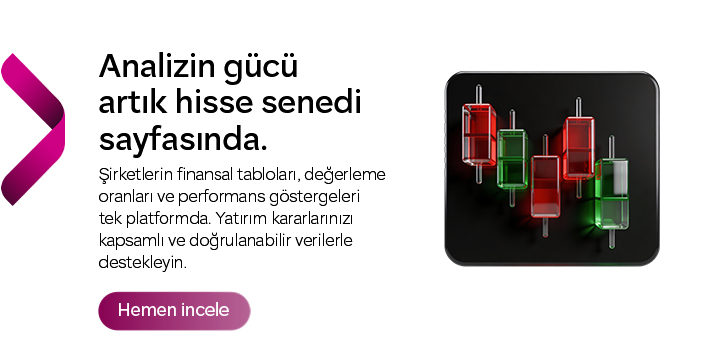 BIST Hisse Senetleri